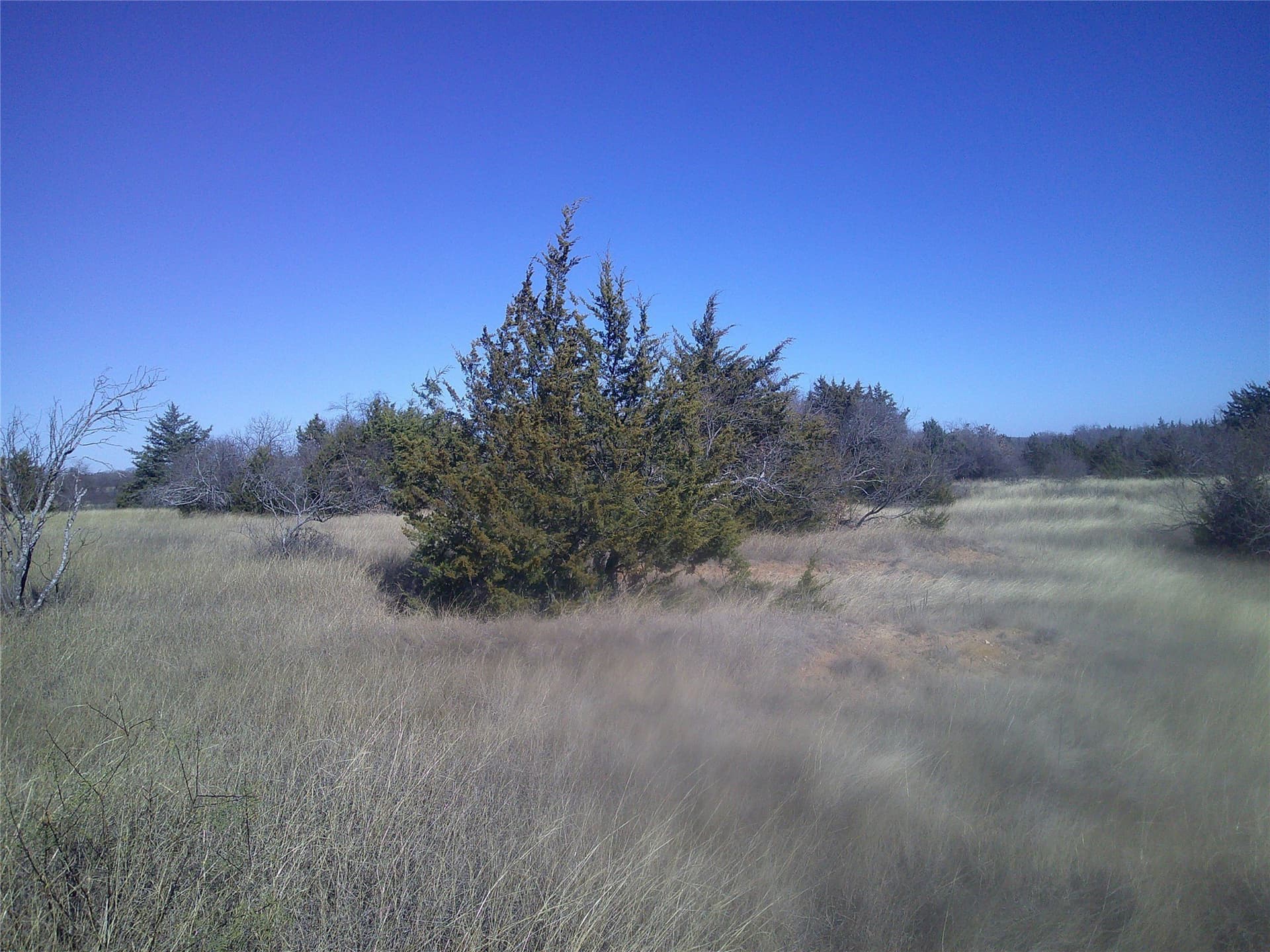 11.91 acres in Wise County