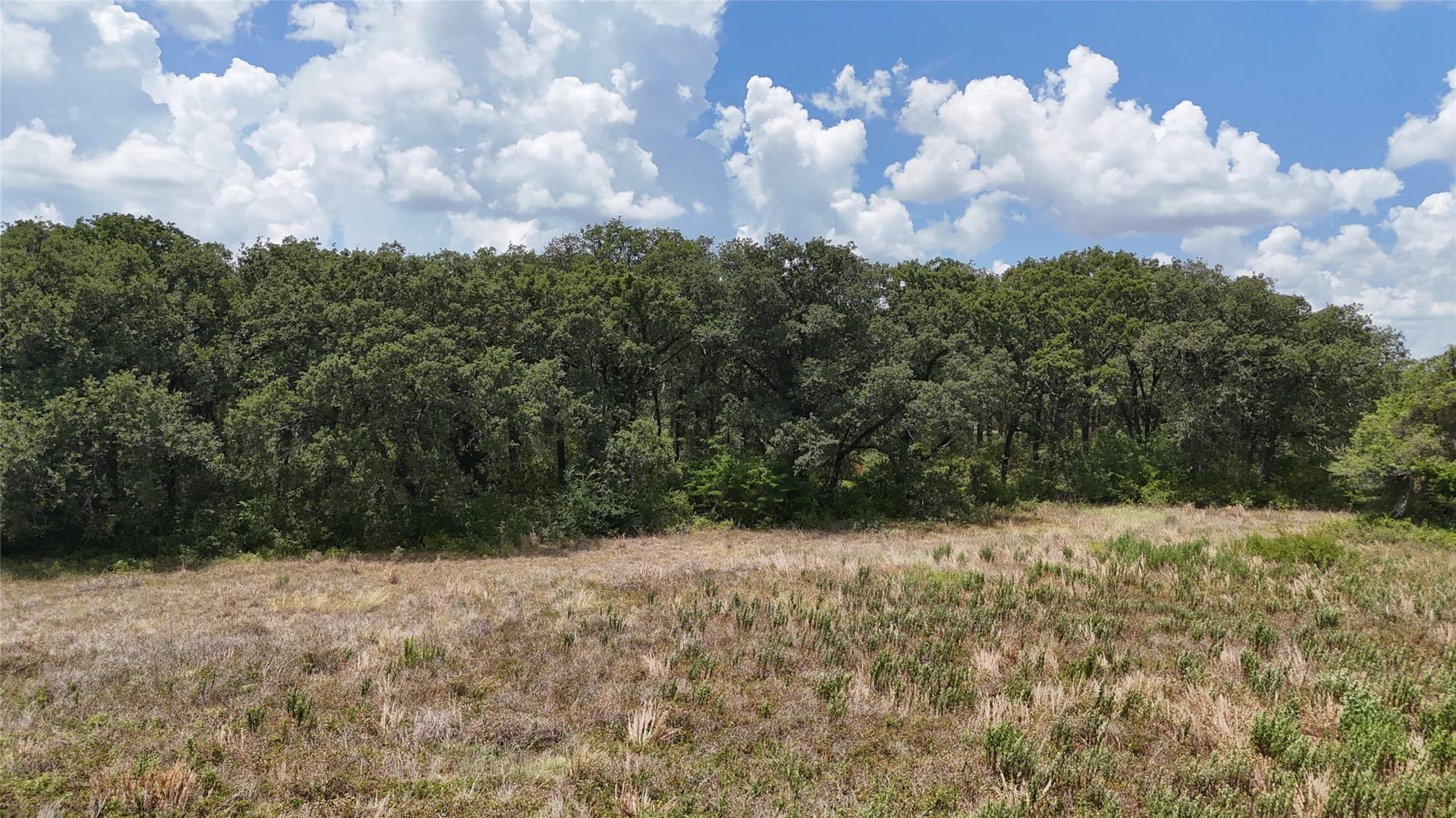 6.75 acres in Navarro County - photo 27