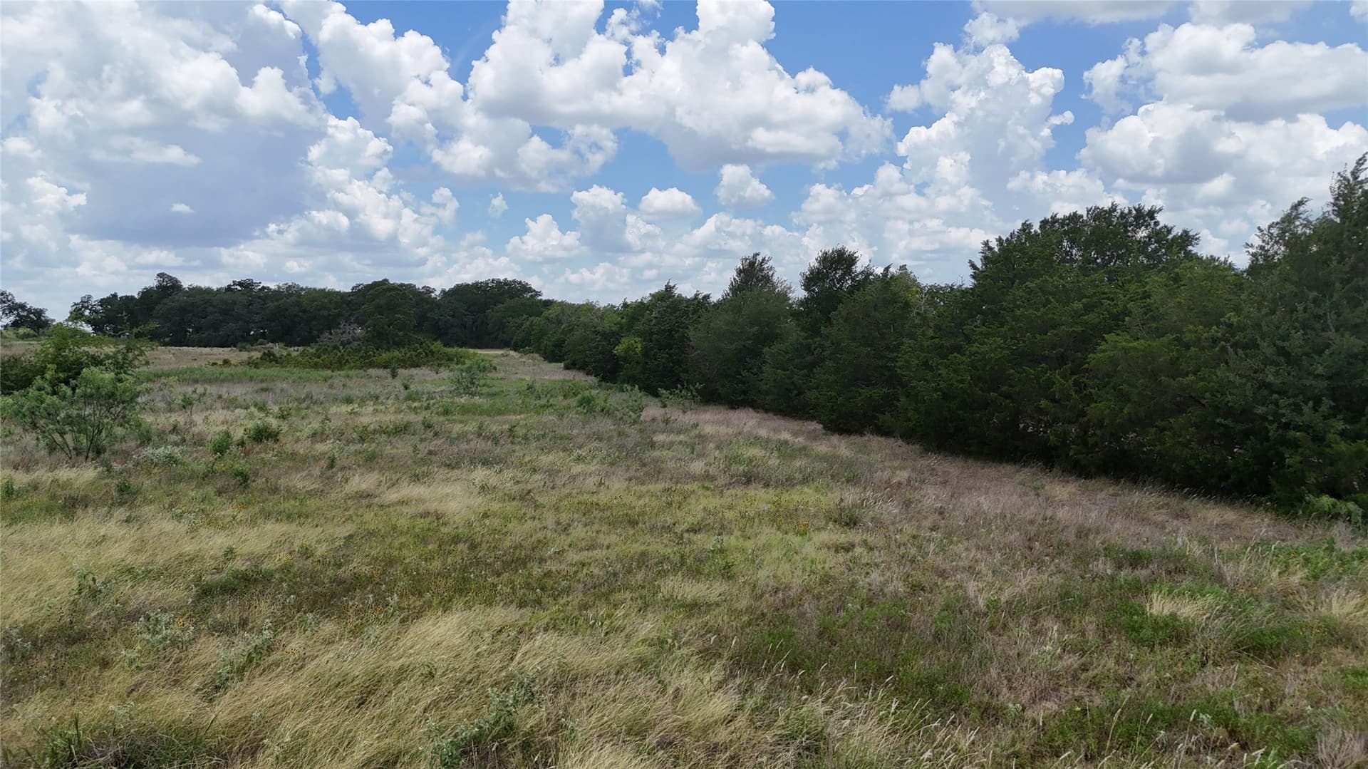 6.75 acres in Navarro County - photo 12