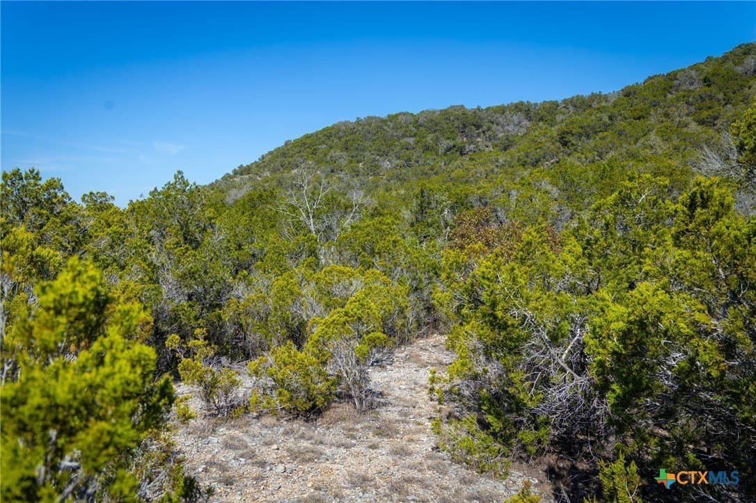 11.55 acres in Comal County featured view