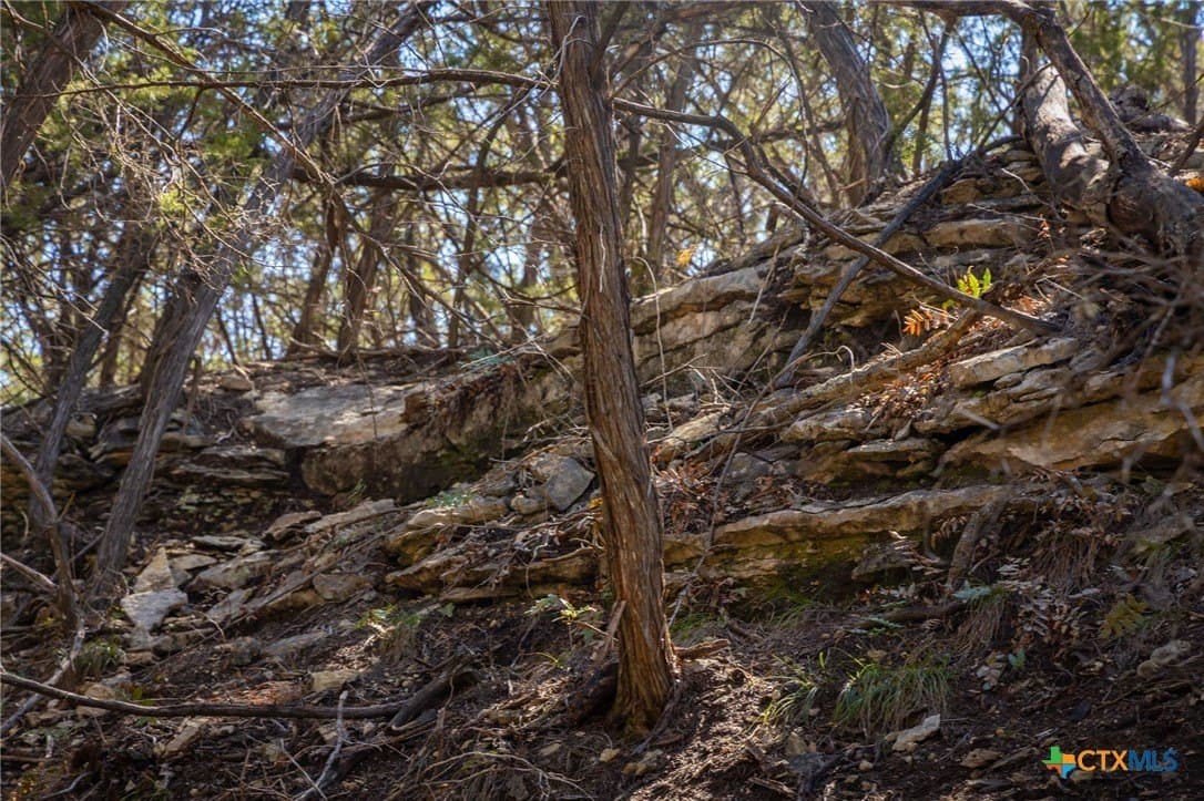 11.55 acres in Comal County - photo 23