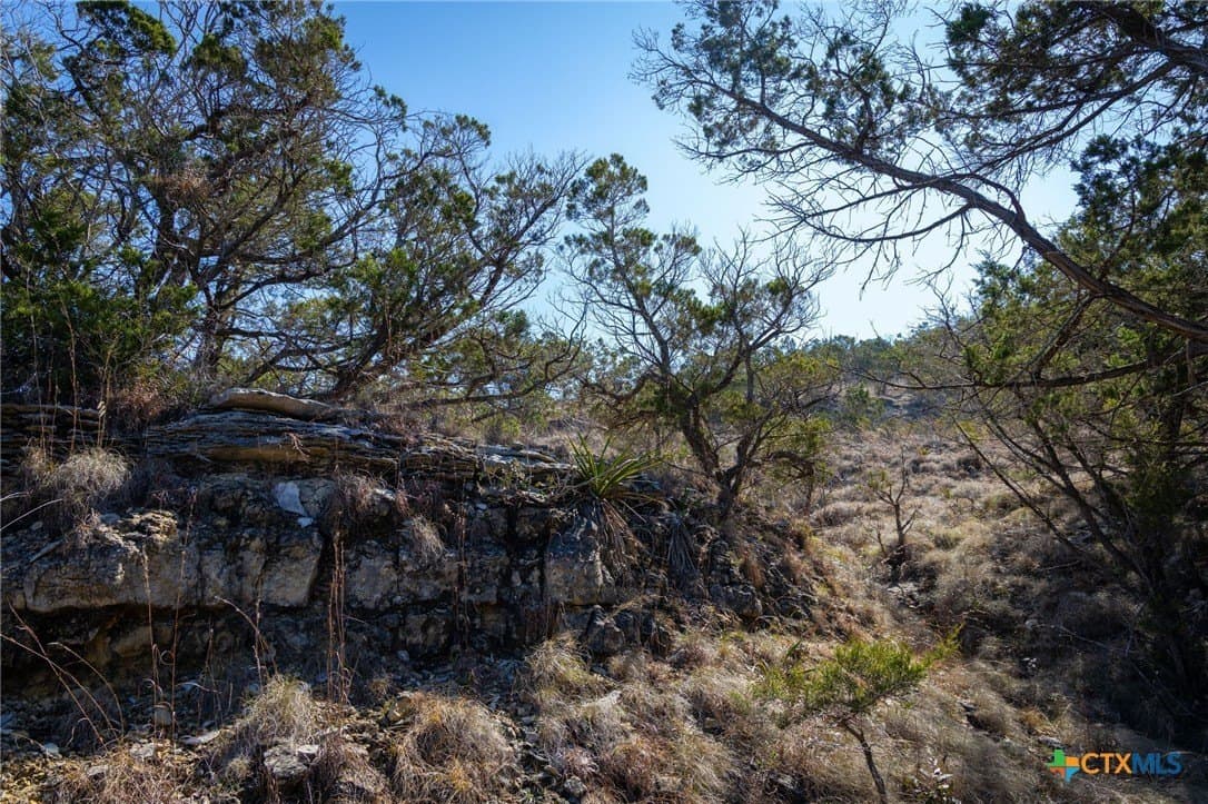 11.55 acres in Comal County - photo 16