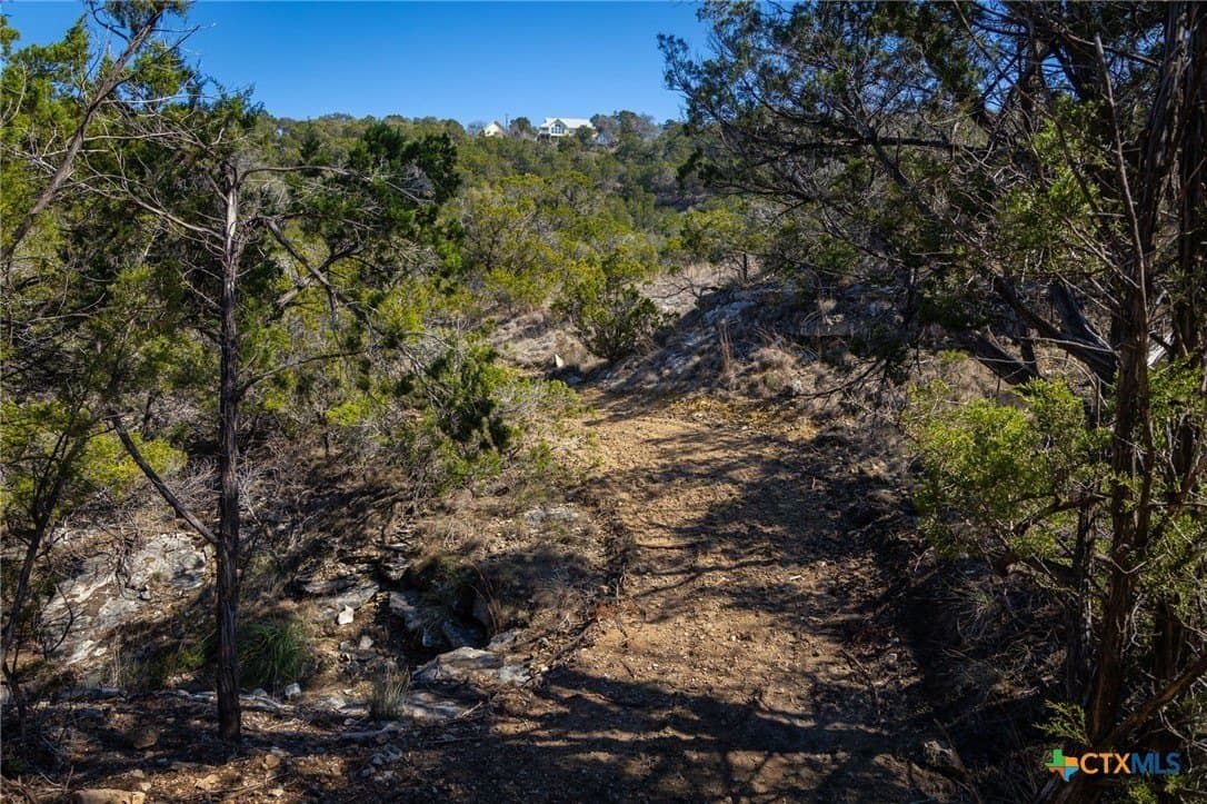 11.55 acres in Comal County - photo 15