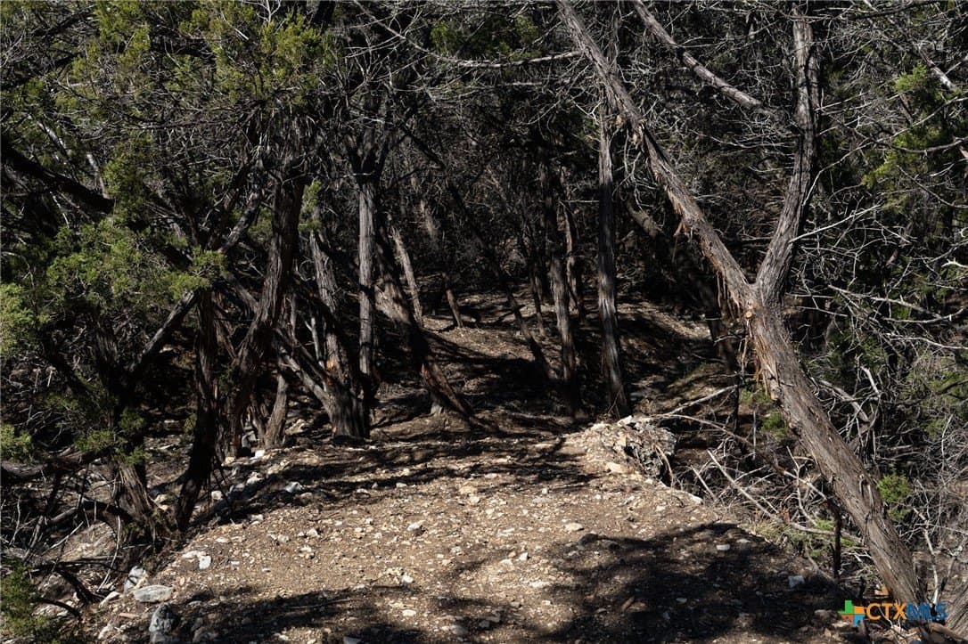 11.55 acres in Comal County - photo 20