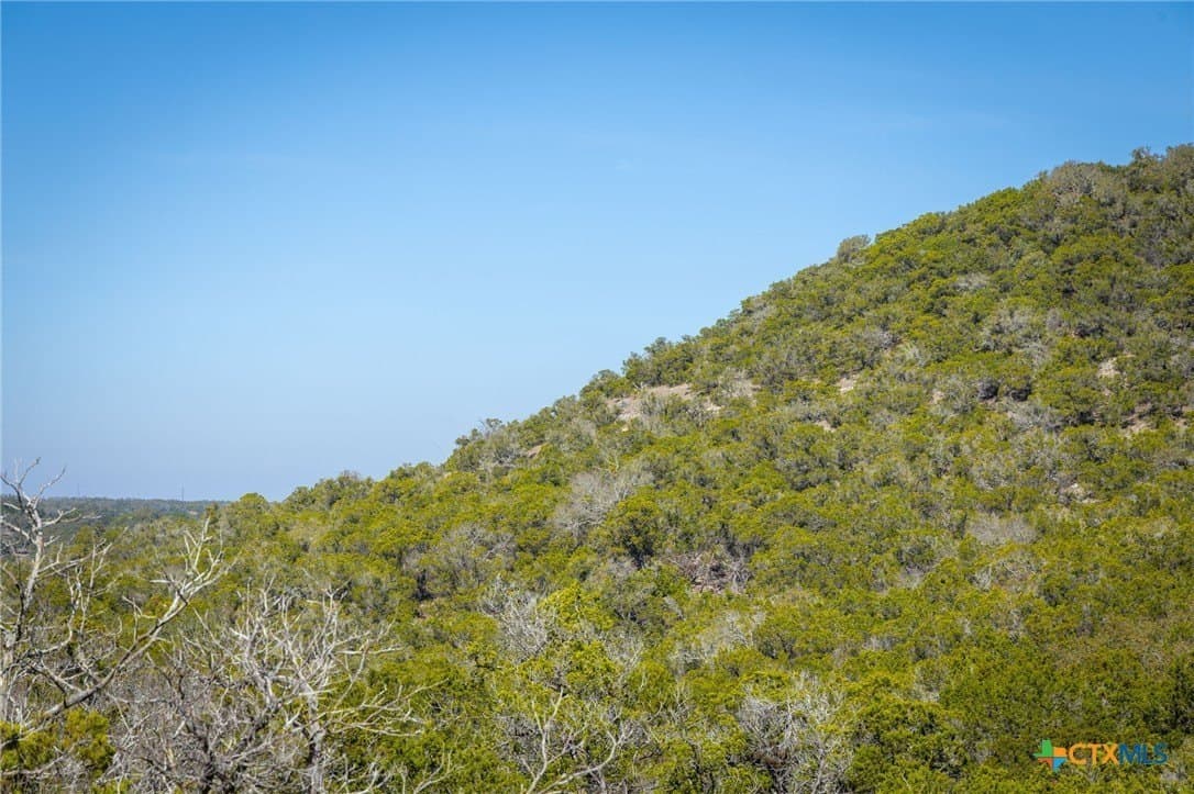 11.55 acres in Comal County - photo 17