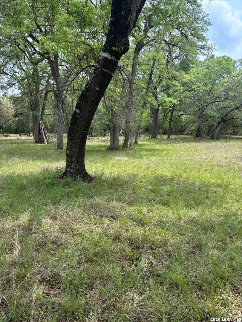 5.05 acres in Medina County - photo 6