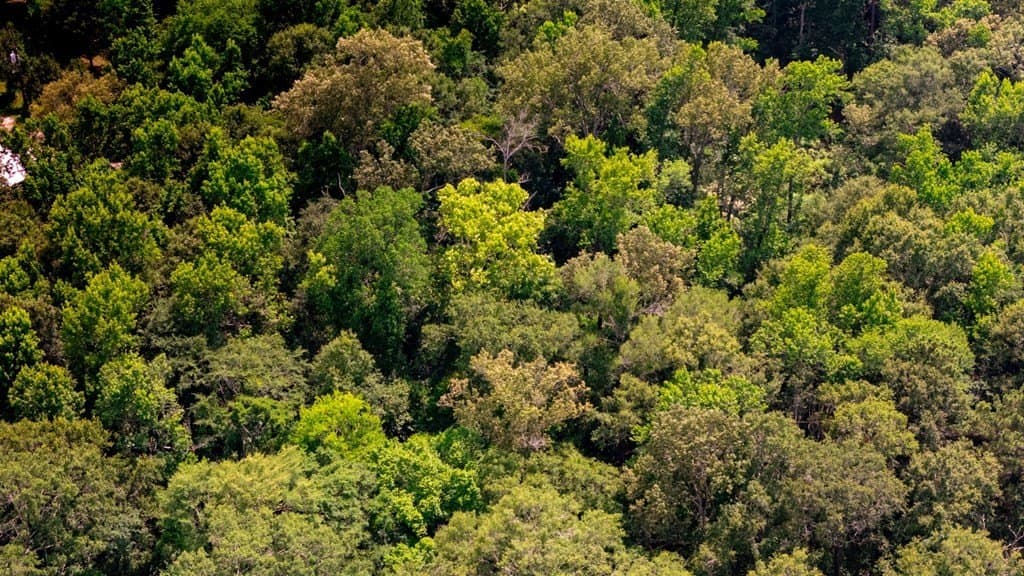 6.65 acres in Texas County - photo 14