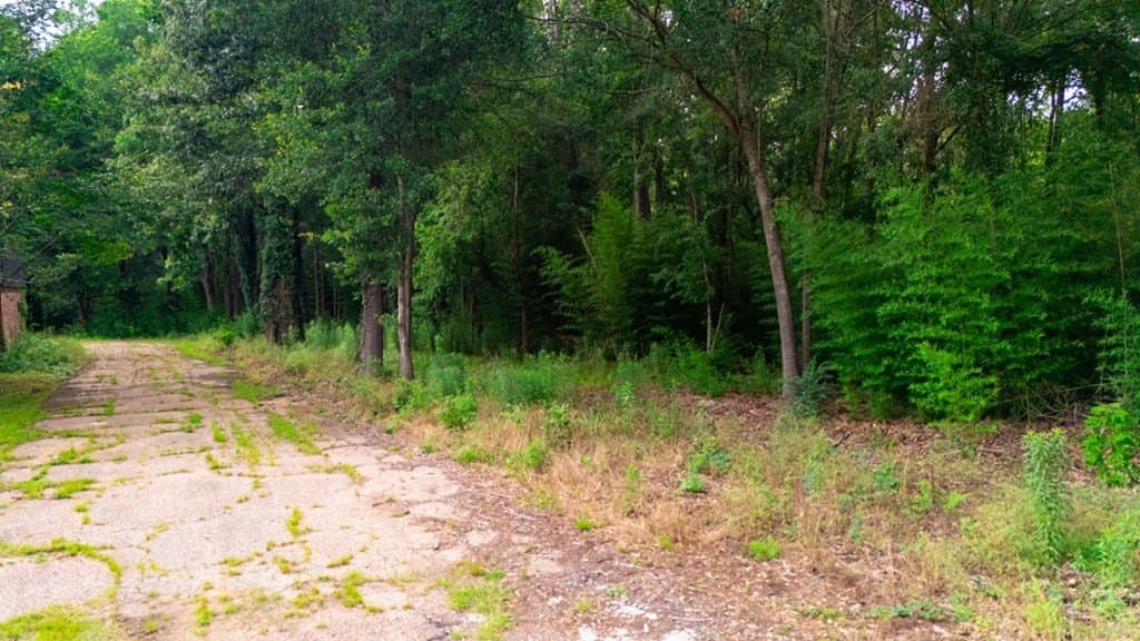6.65 acres in Texas County - photo 27