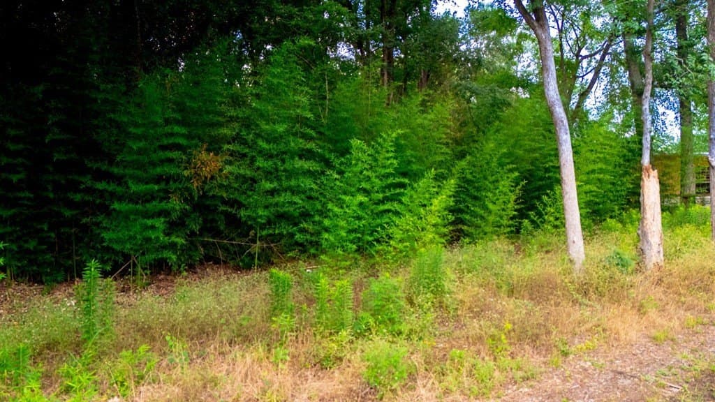6.65 acres in Texas County - photo 28