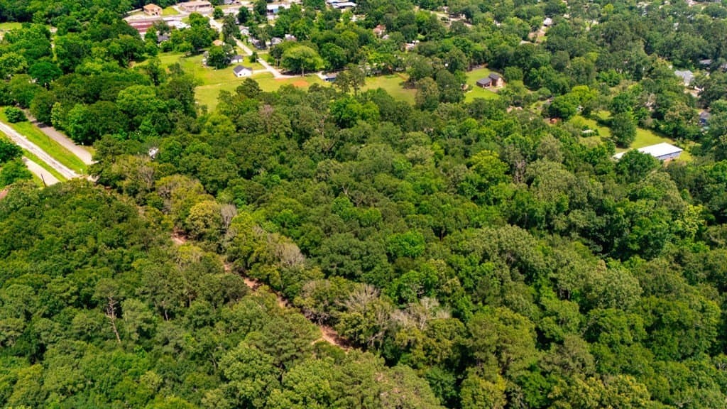 6.65 acres in Texas County - photo 6