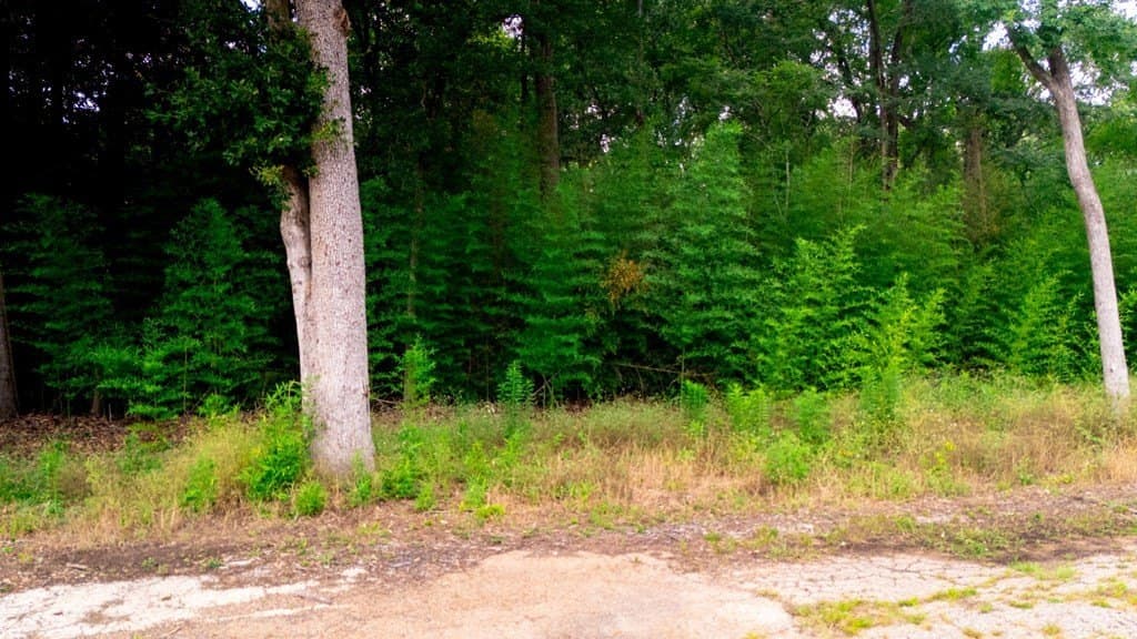 6.65 acres in Texas County - photo 29