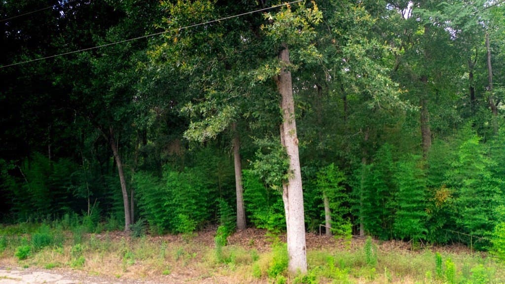 6.65 acres in Texas County - photo 24