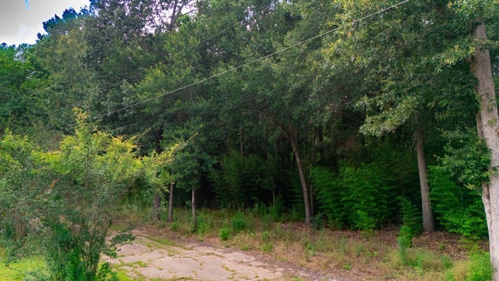 6.65 acres in Texas County - photo 25