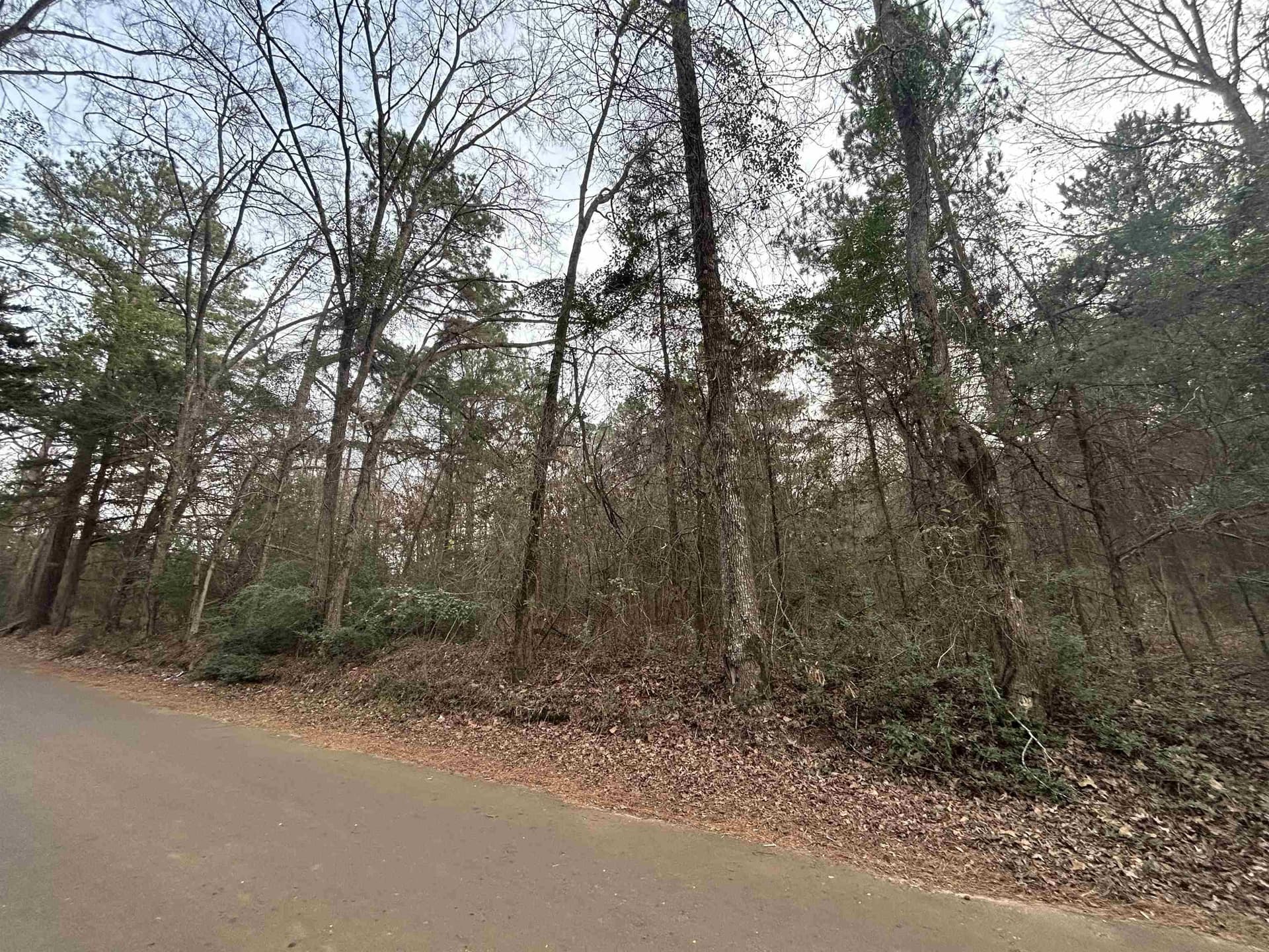 2.75 acres in Texas County gallery image 2