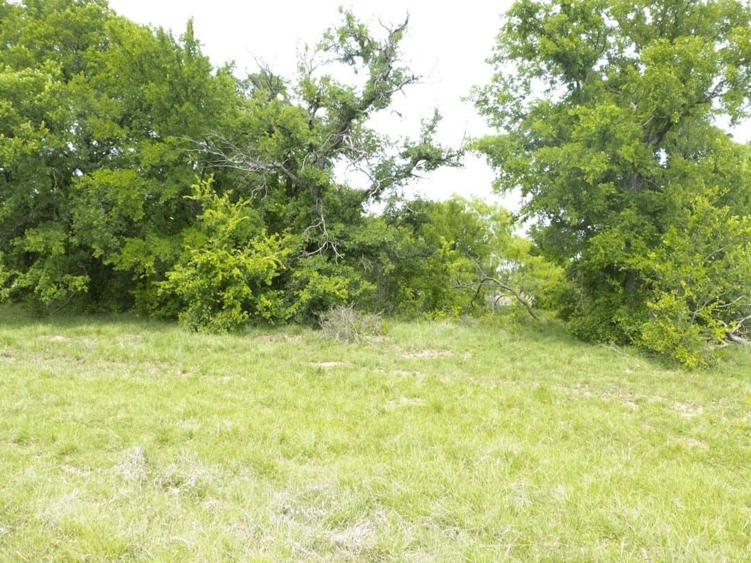 284 acres in Brown County - photo 37