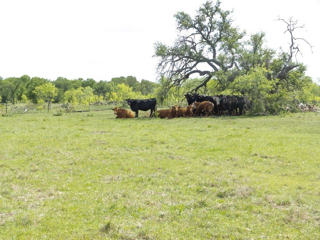 284 acres in Brown County - photo 34