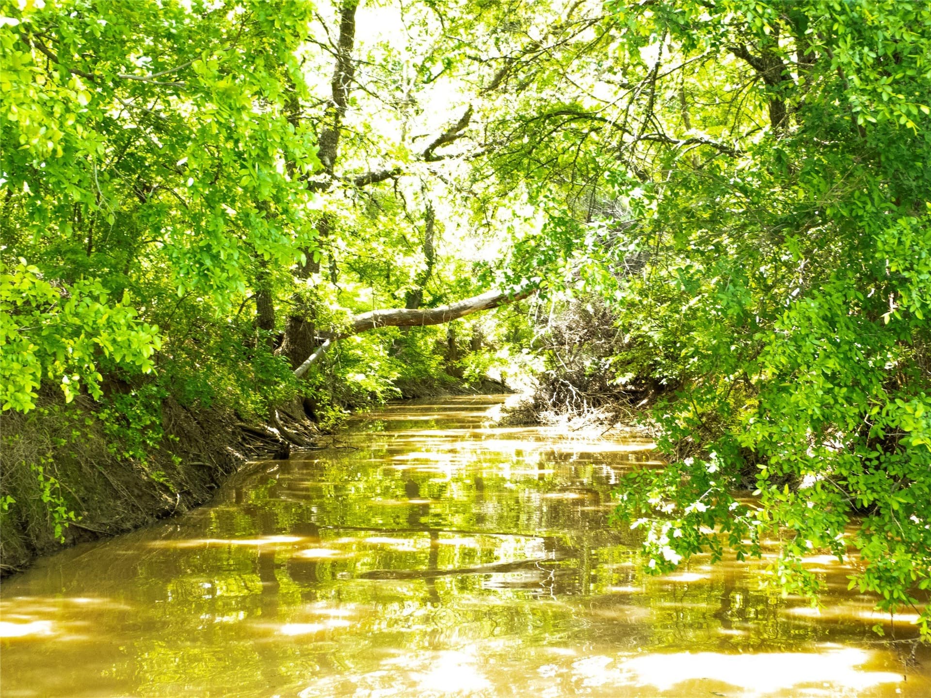 284 acres in Brown County - photo 38