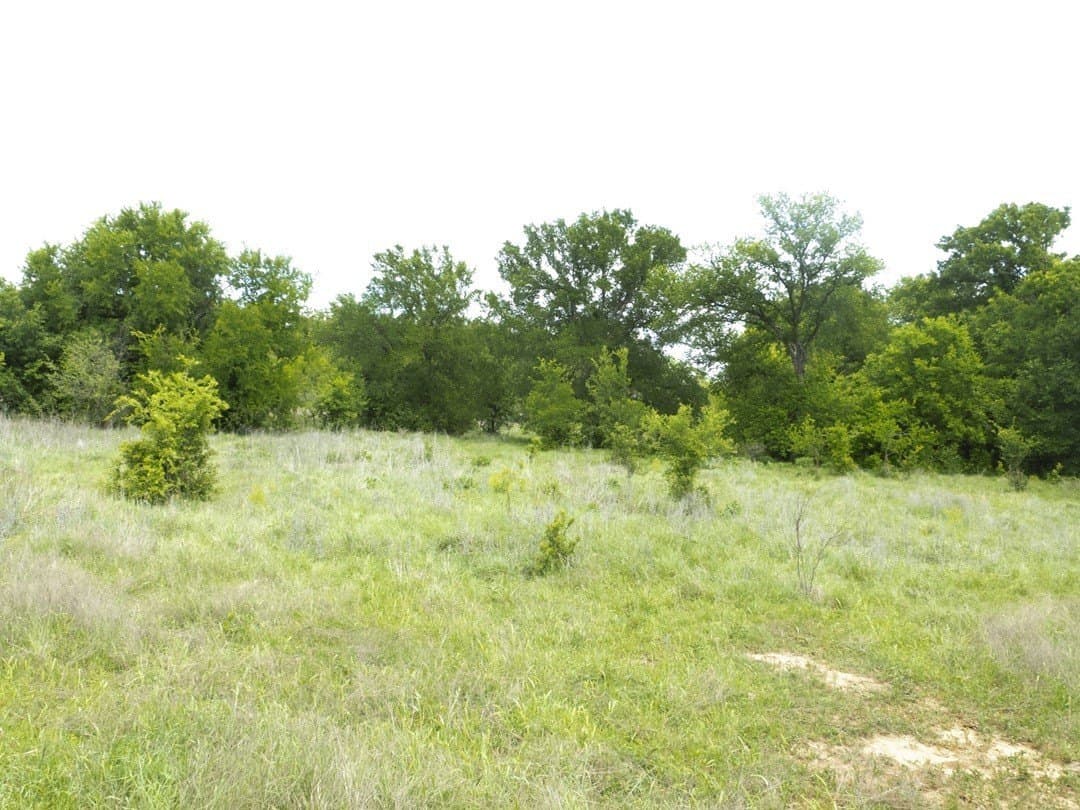 284 acres in Brown County - photo 36