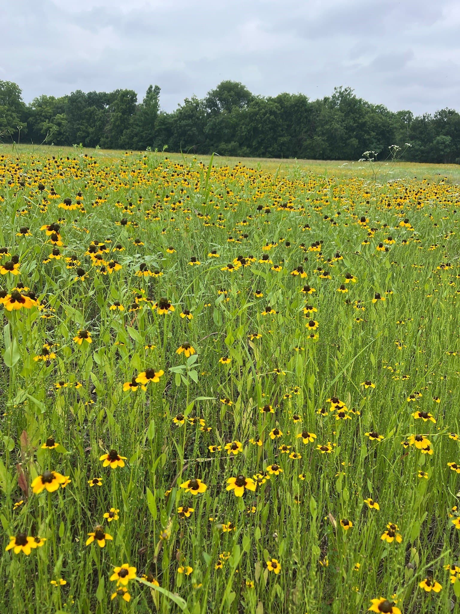8.67 acres in Fannin County - photo 4