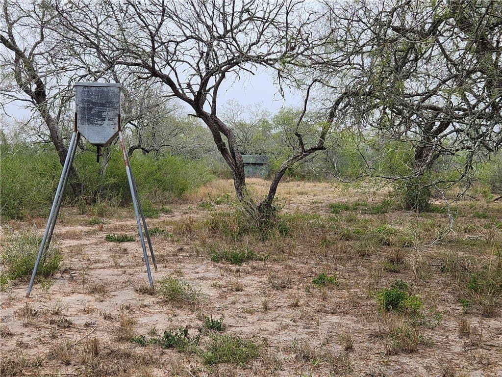 13.44 acres in Jim Wells County - photo 26