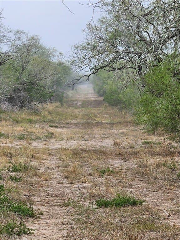 13.44 acres in Jim Wells County - photo 21