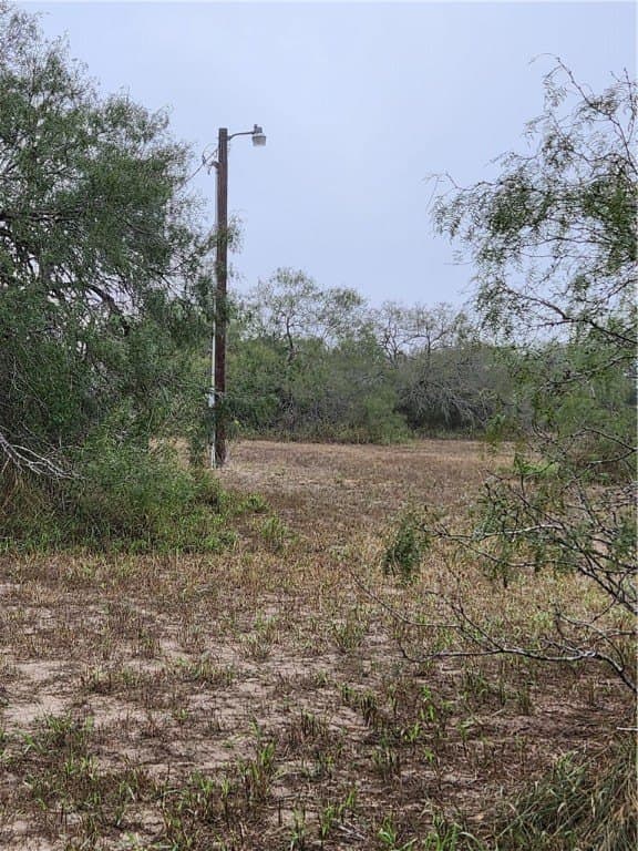 13.44 acres in Jim Wells County - photo 13