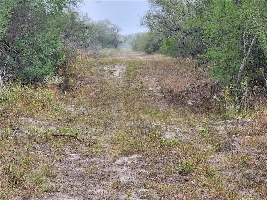 13.44 acres in Jim Wells County - photo 20