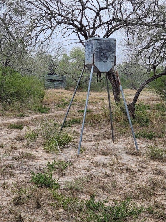 13.44 acres in Jim Wells County - photo 27