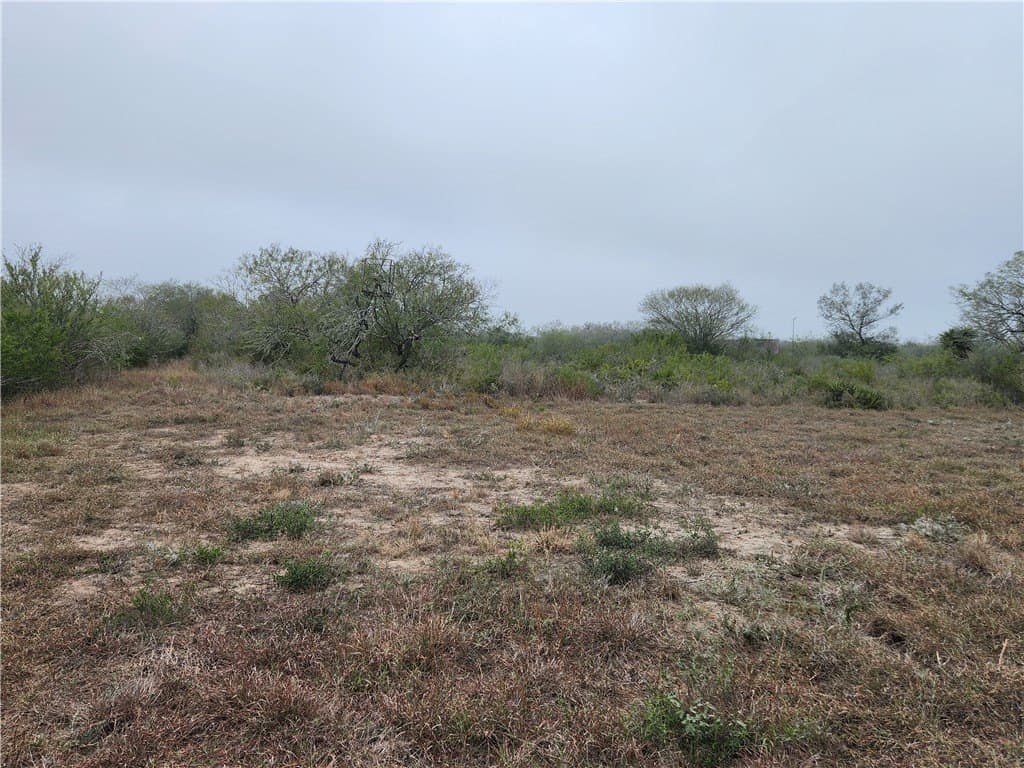 13.44 acres in Jim Wells County - photo 29