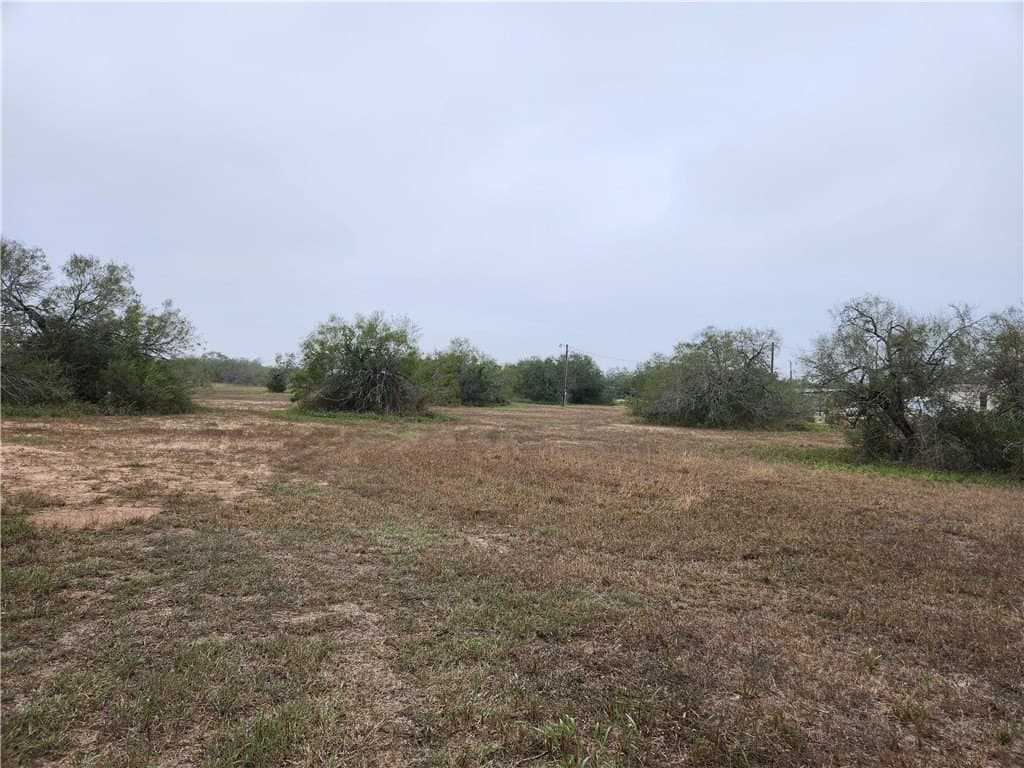 13.44 acres in Jim Wells County - photo 32