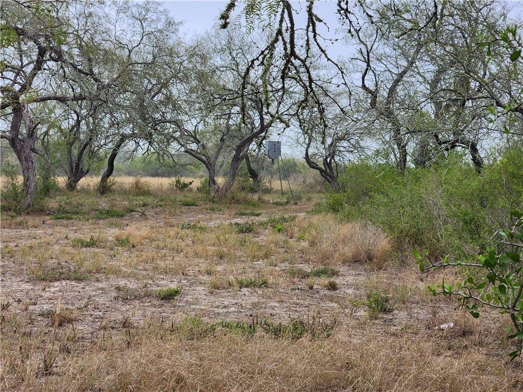 13.44 acres in Jim Wells County - photo 22