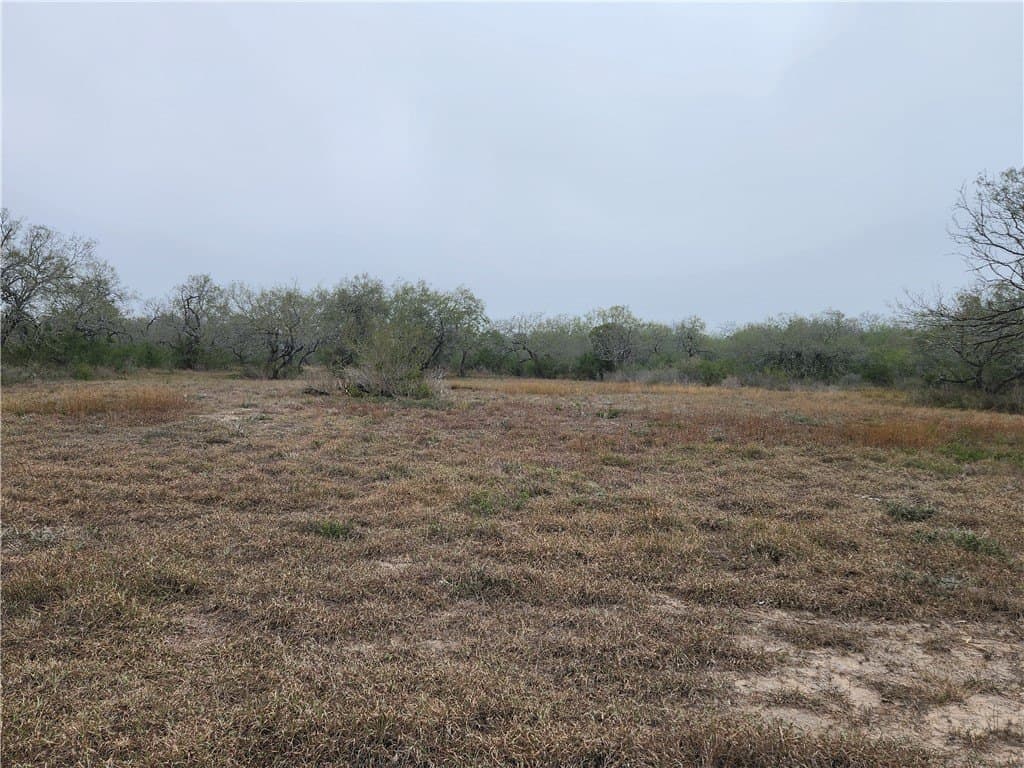13.44 acres in Jim Wells County - photo 31