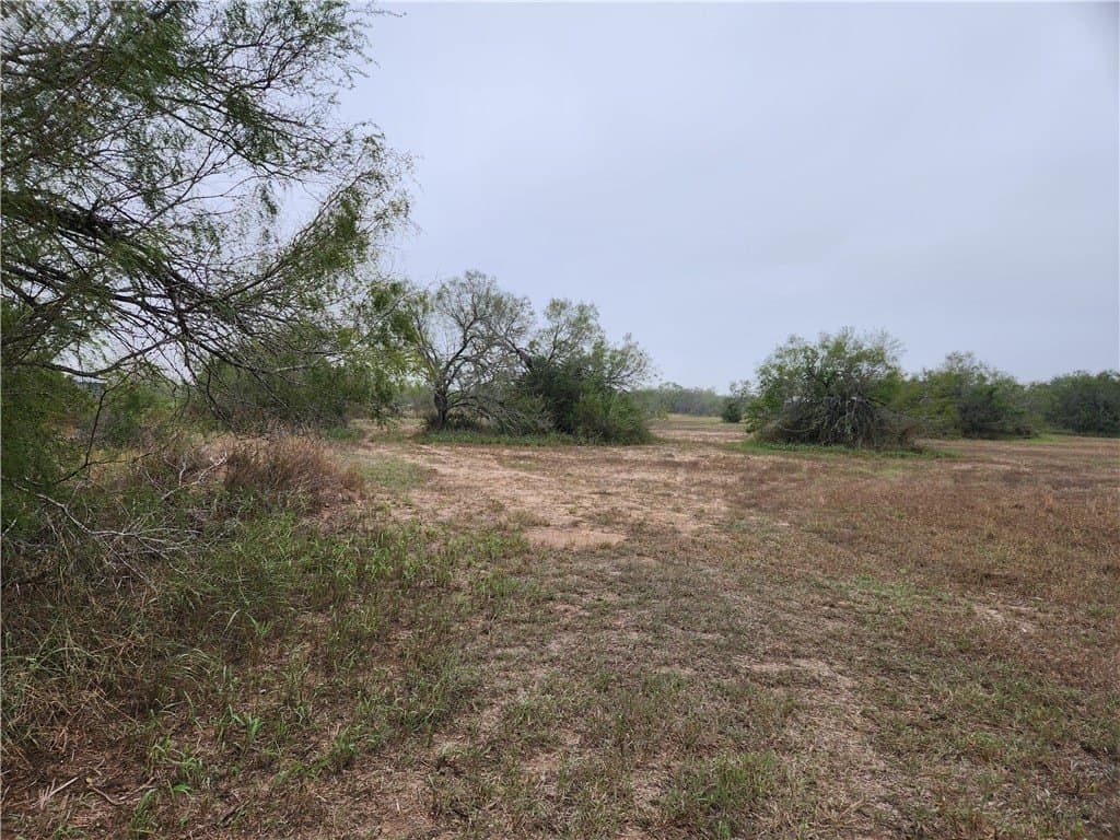 13.44 acres in Jim Wells County - photo 30