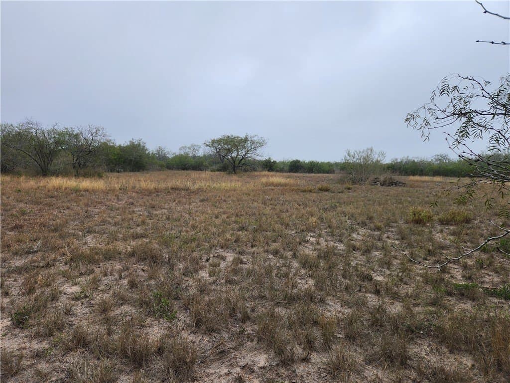 13.44 acres in Jim Wells County - photo 28