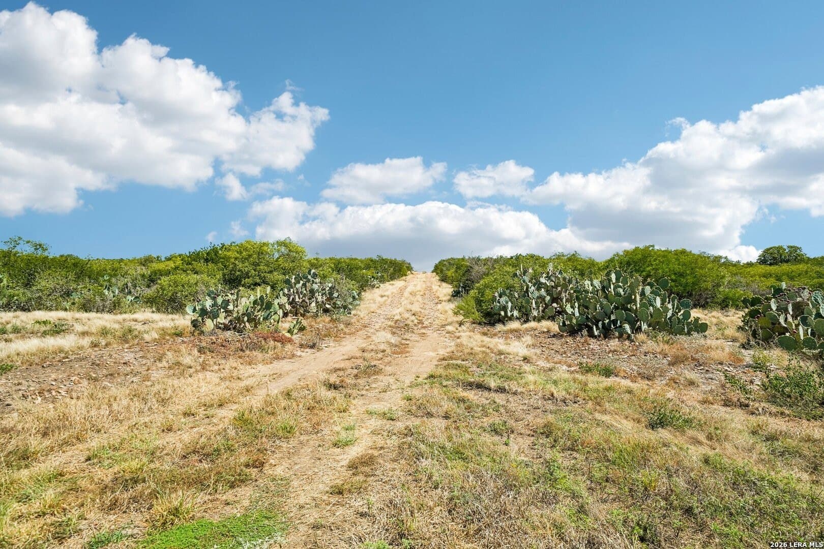 10.47 acres in Frio County - photo 34