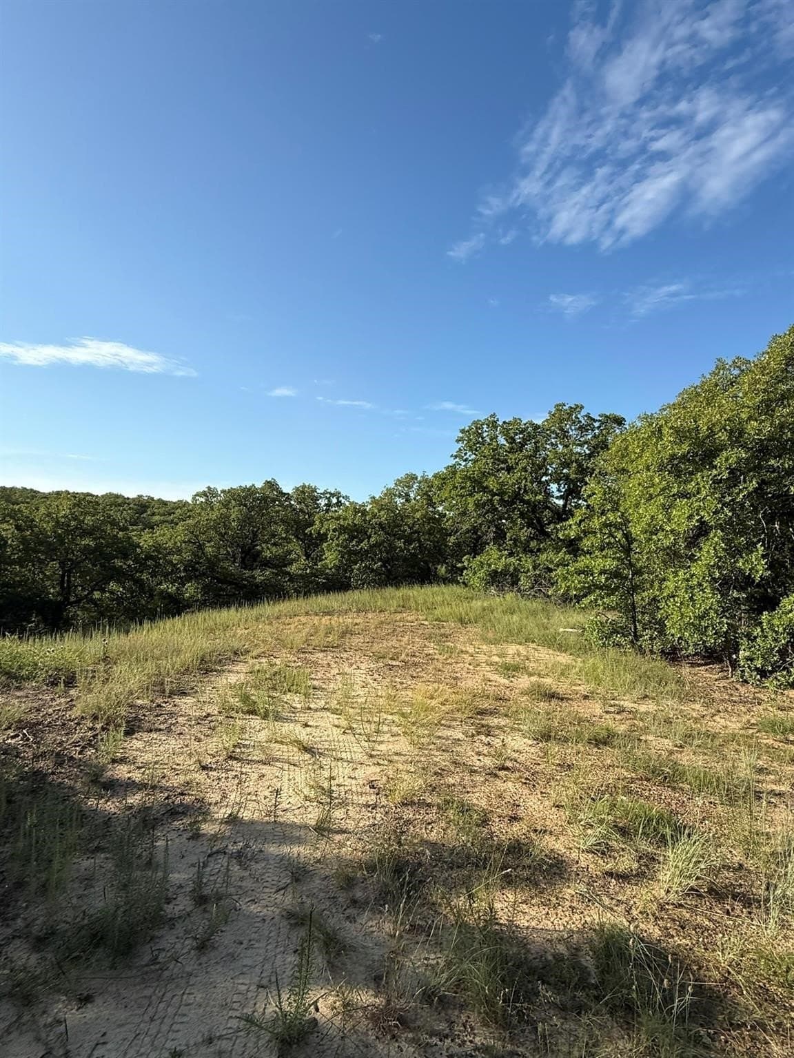 23.56 acres in Montague County - photo 4