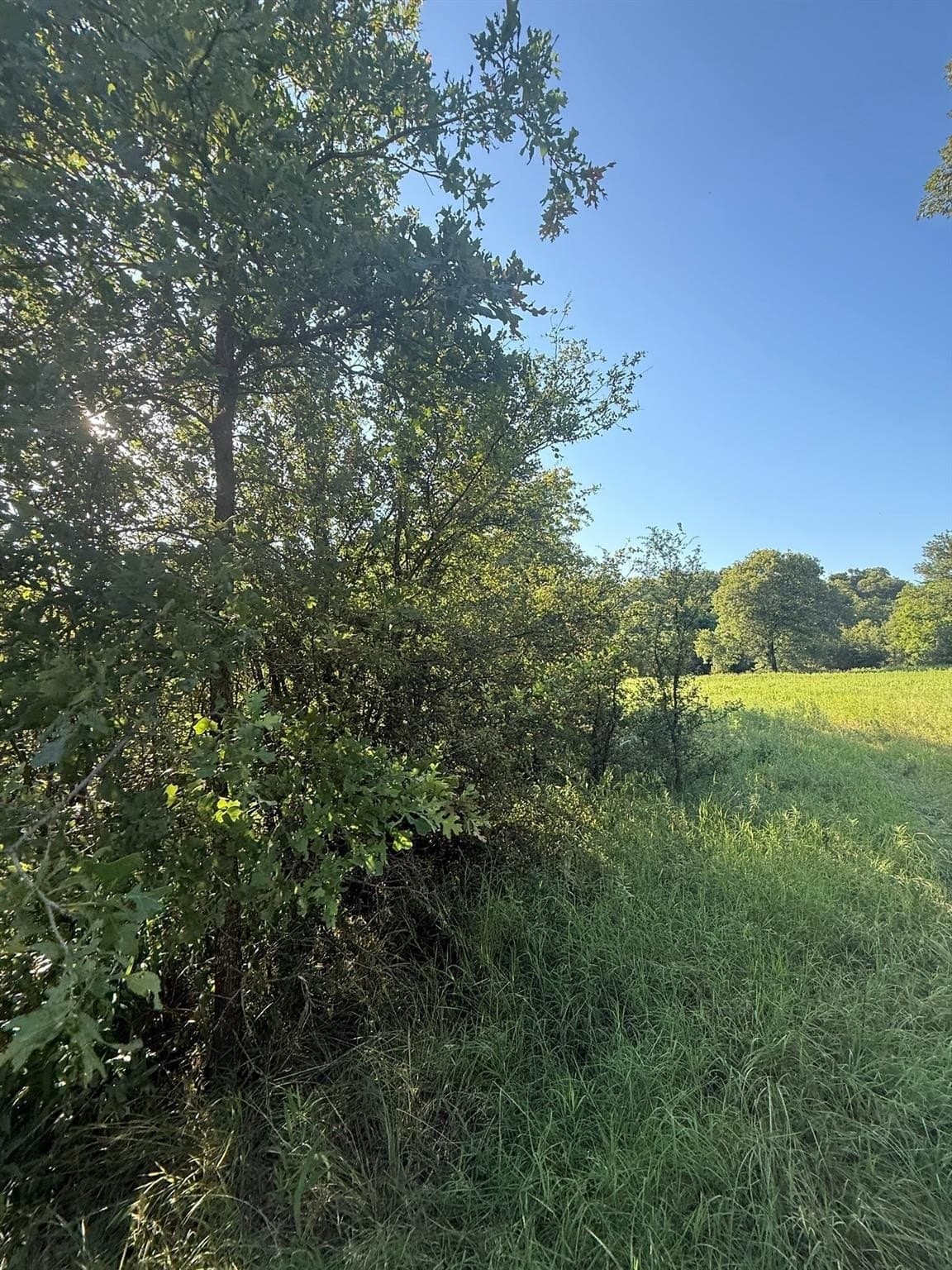 23.56 acres in Montague County - photo 27
