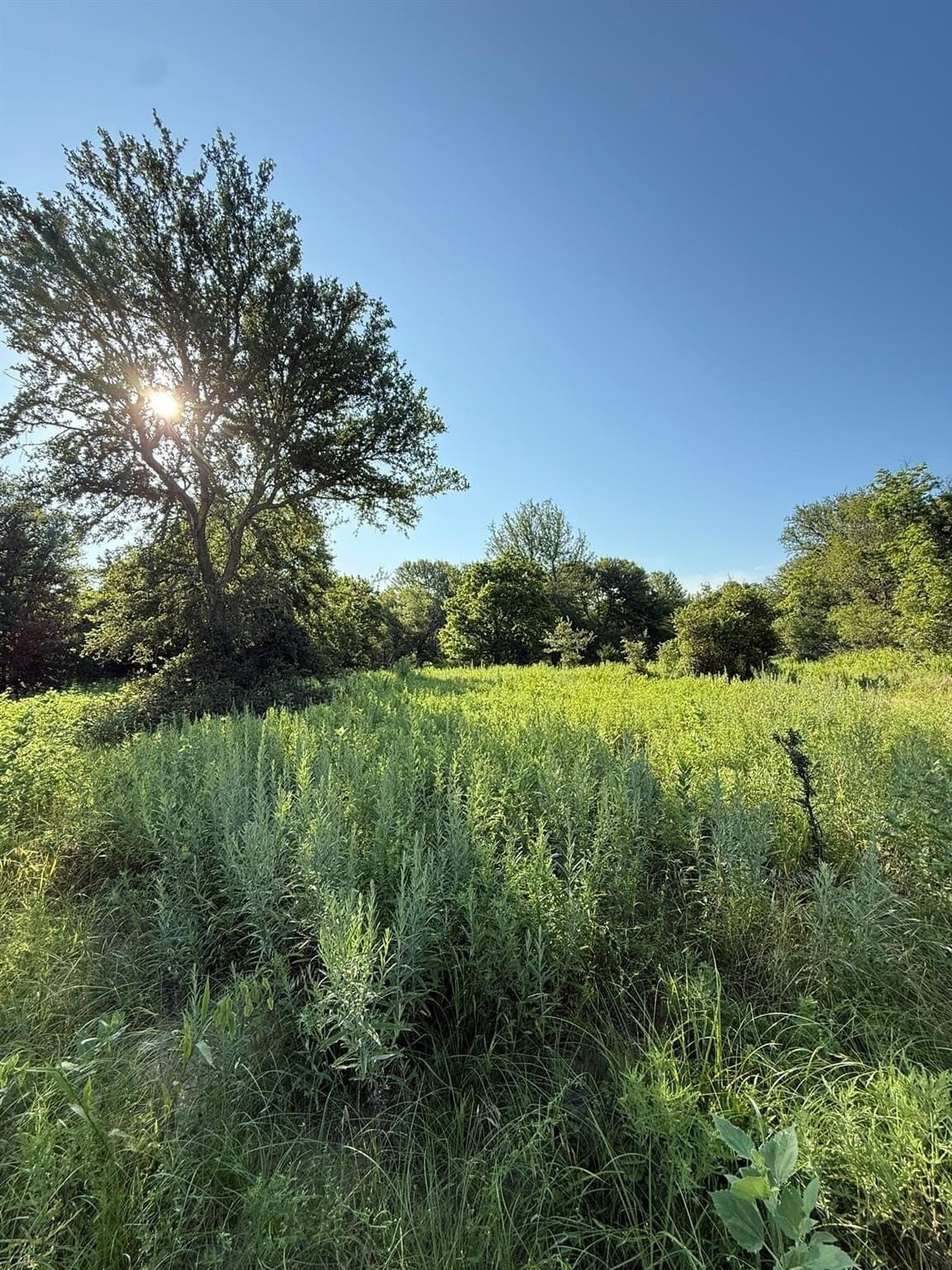 23.56 acres in Montague County - photo 24