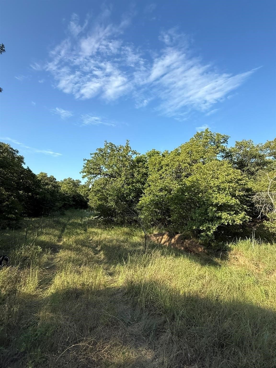 23.56 acres in Montague County - photo 3