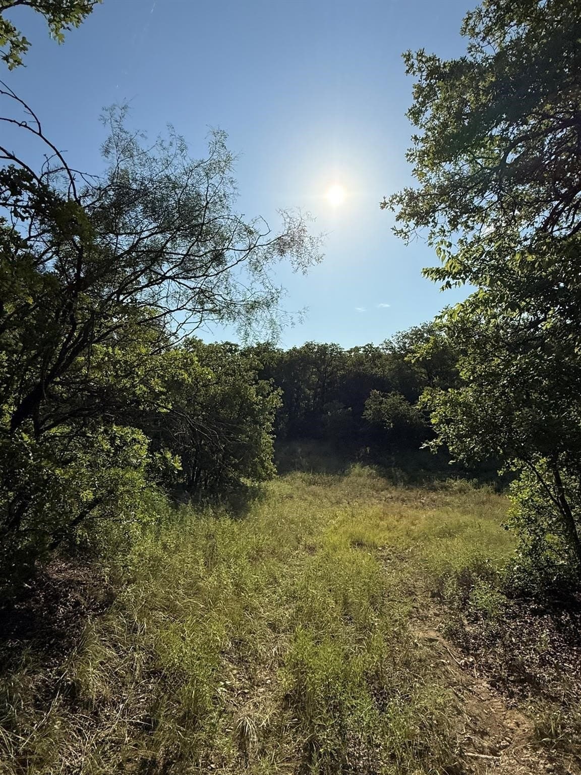 23.56 acres in Montague County - photo 10