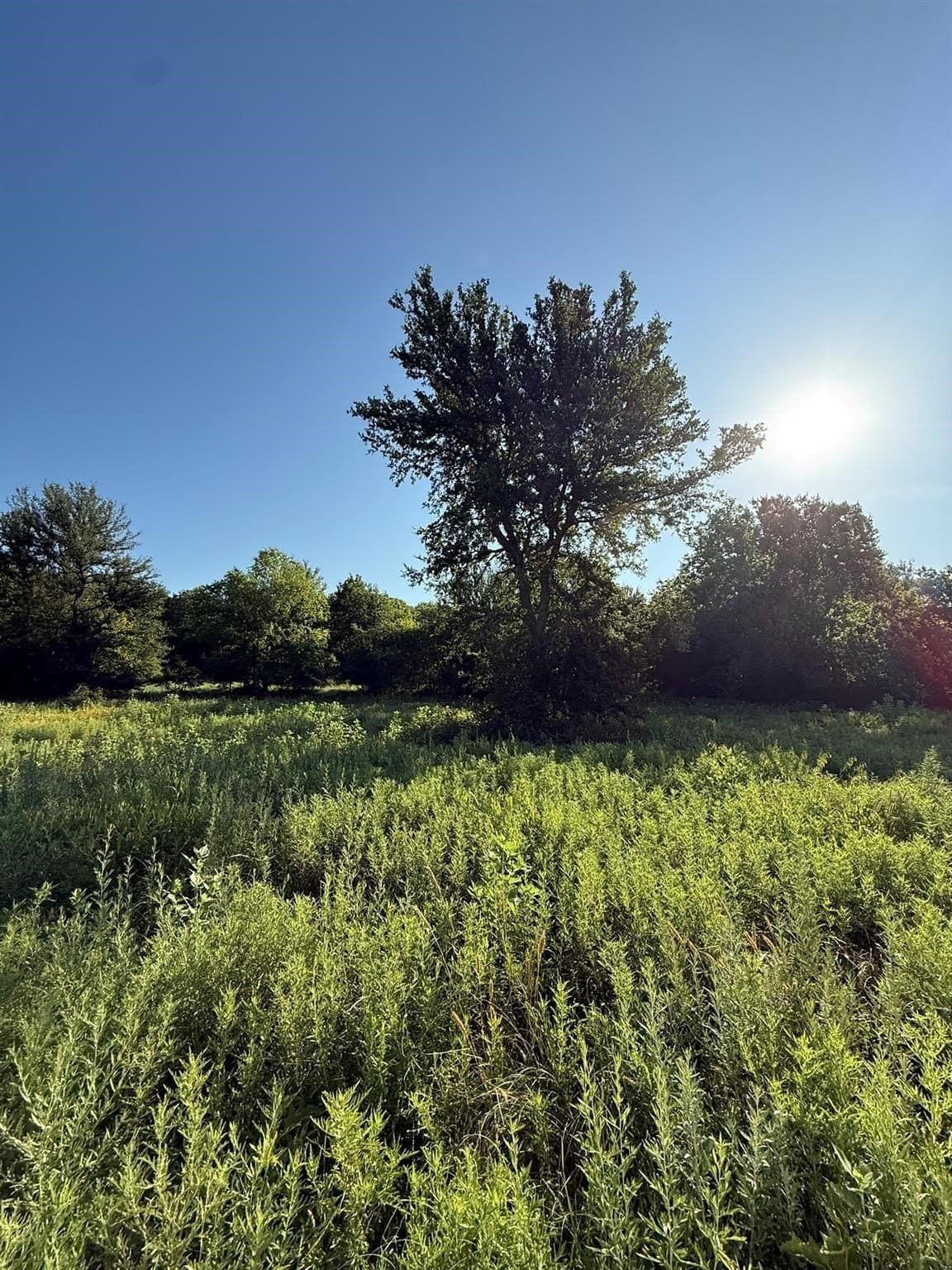 23.56 acres in Montague County - photo 25