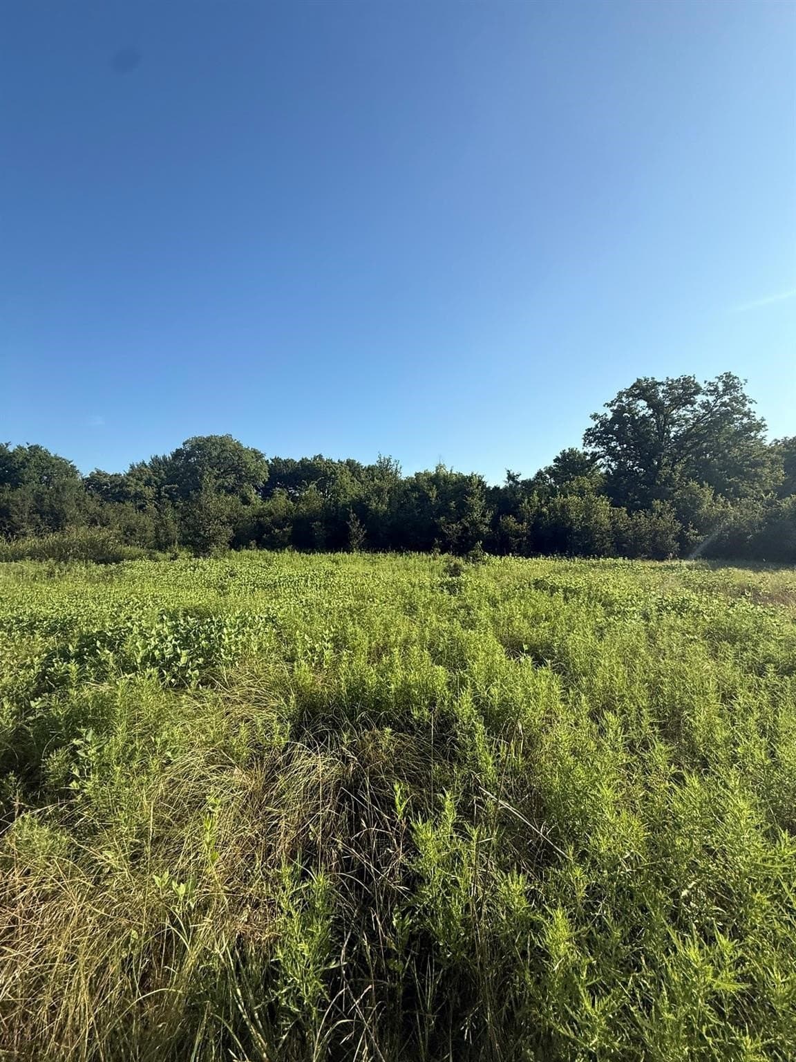 23.56 acres in Montague County - photo 28