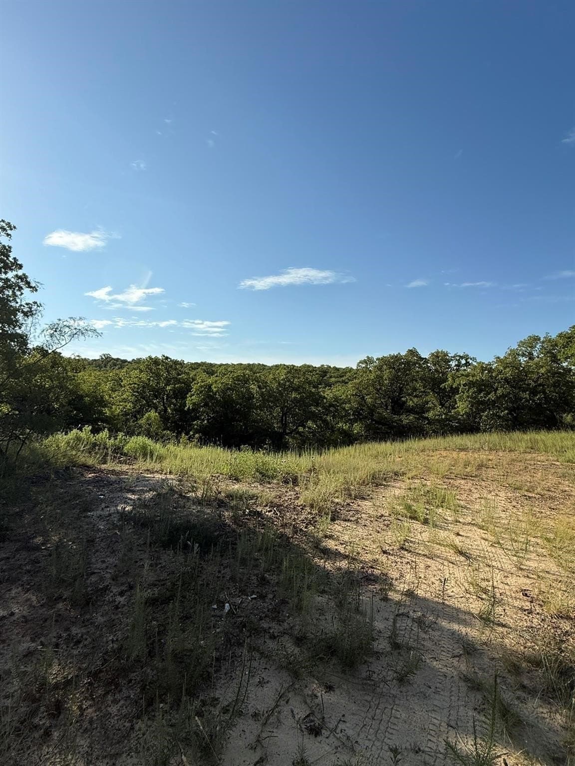 23.56 acres in Montague County - photo 5