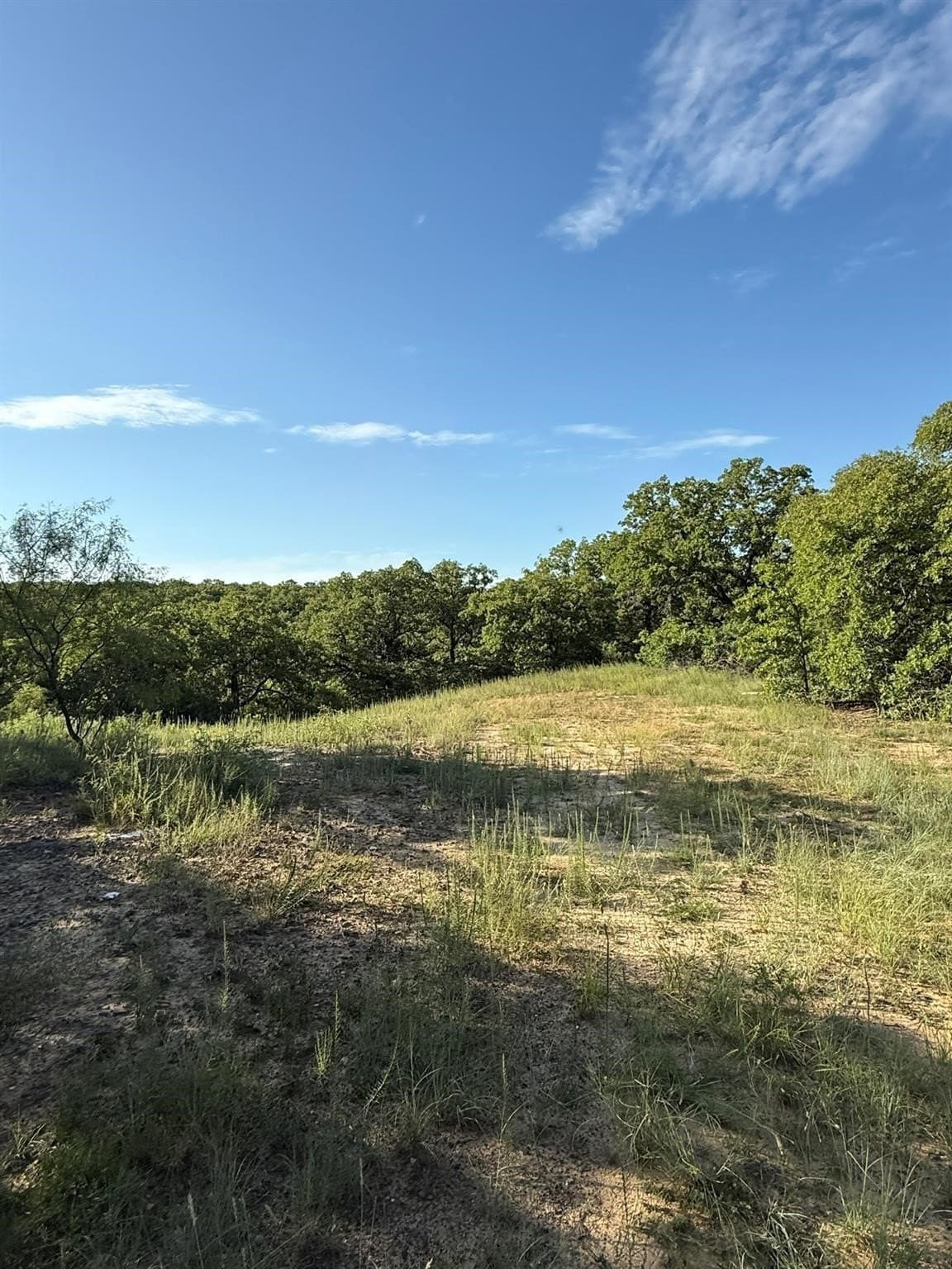 23.56 acres in Montague County - photo 7
