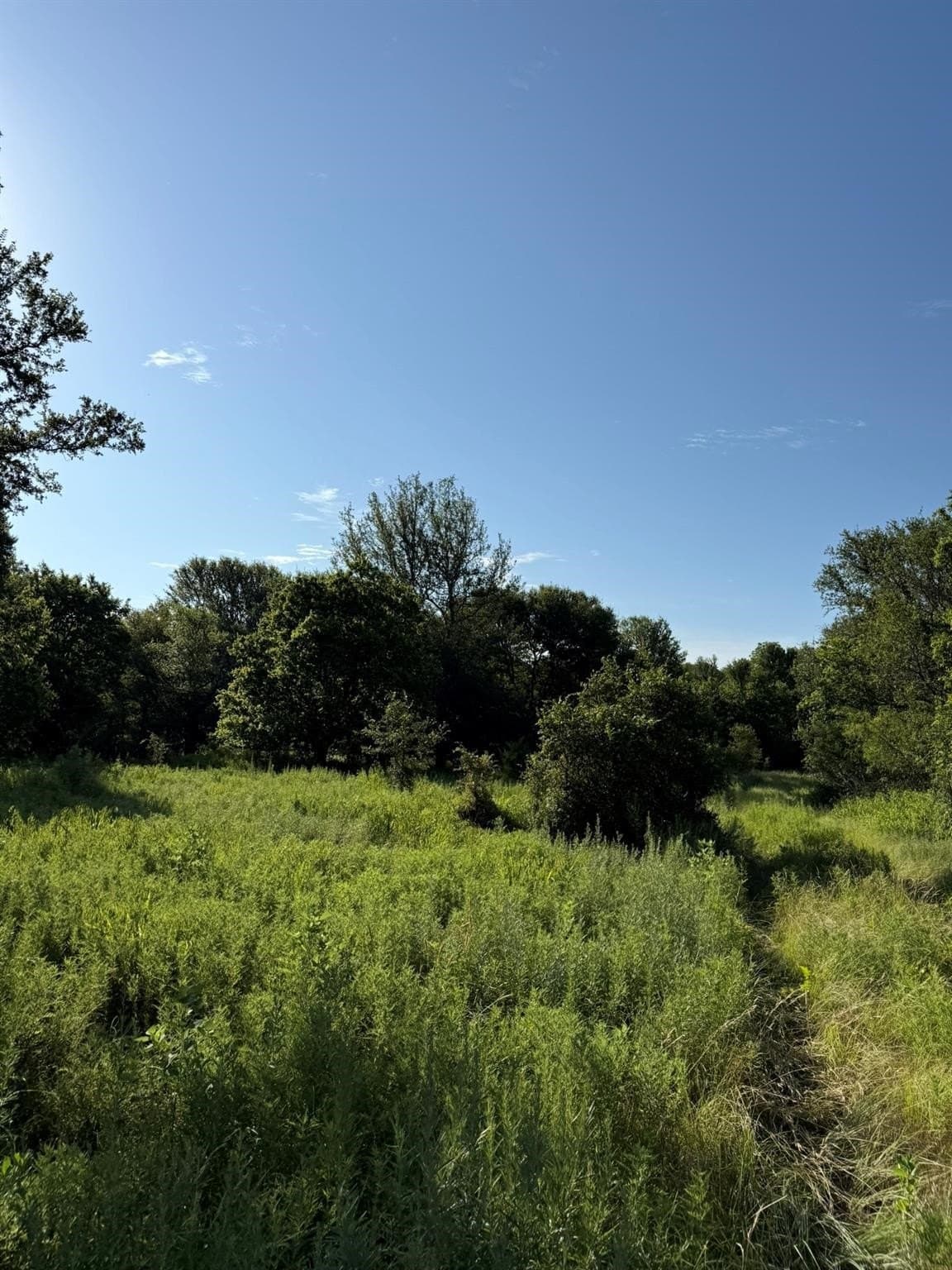 23.56 acres in Montague County - photo 23