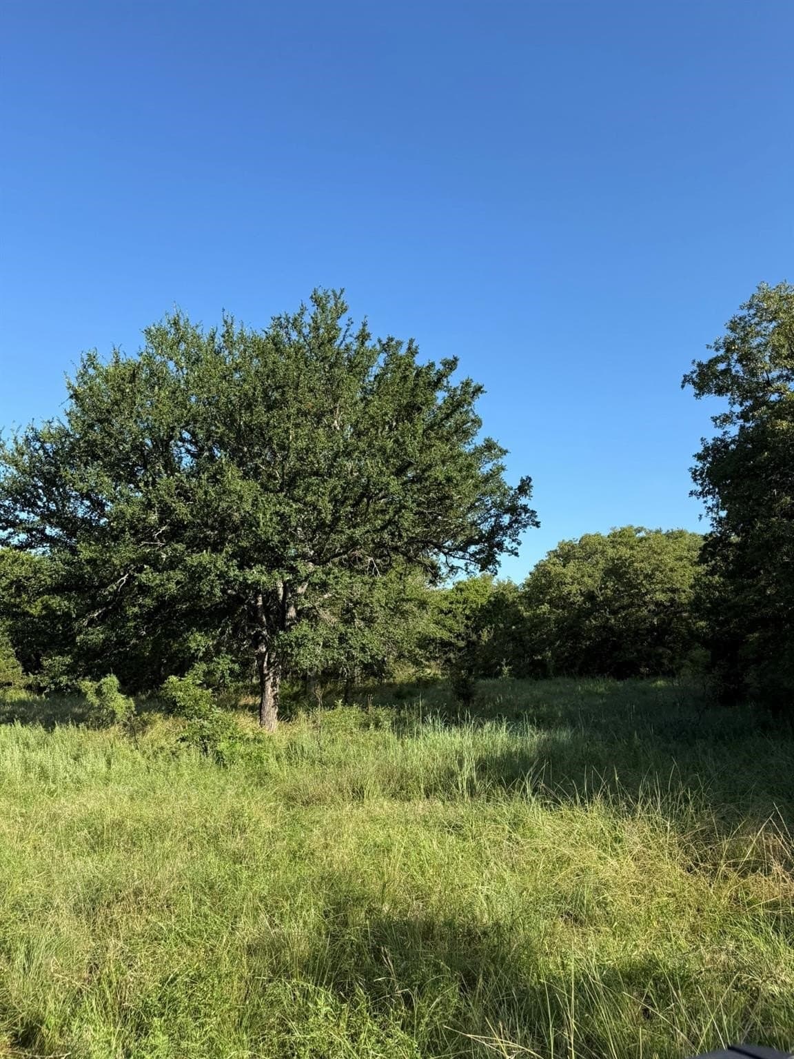 23.56 acres in Montague County - photo 2