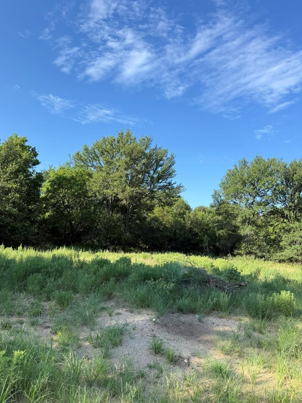 23.56 acres in Montague County - photo 11