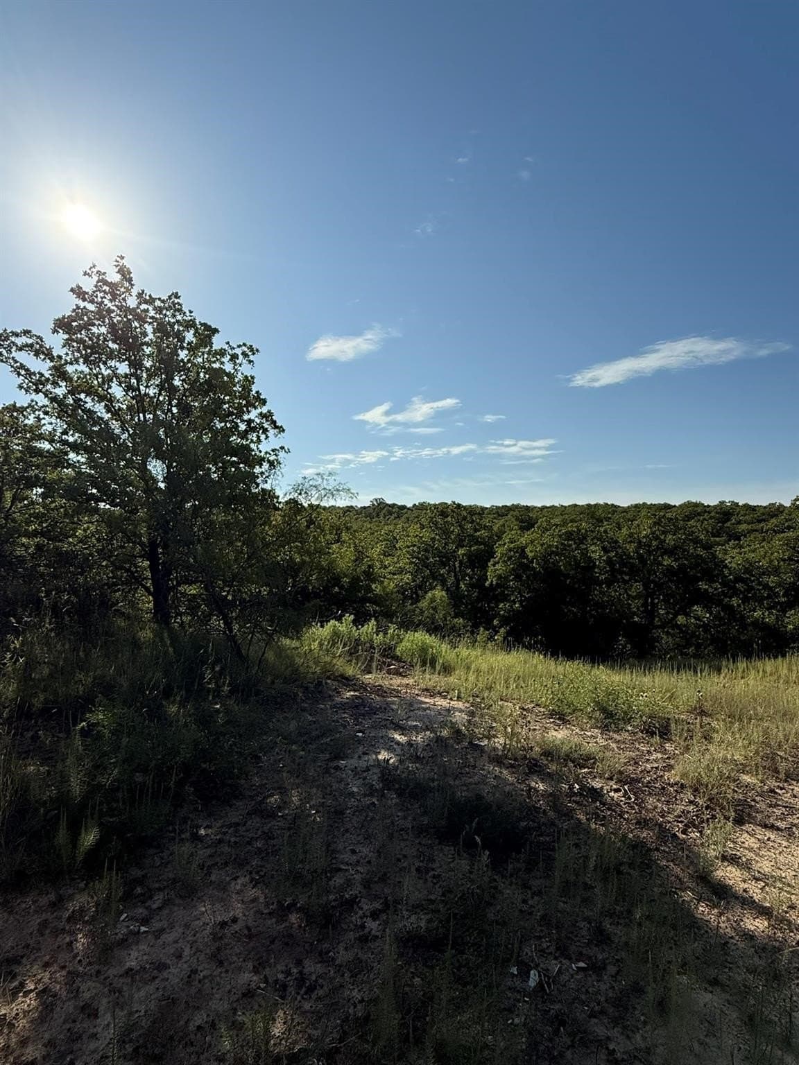23.56 acres in Montague County - photo 9