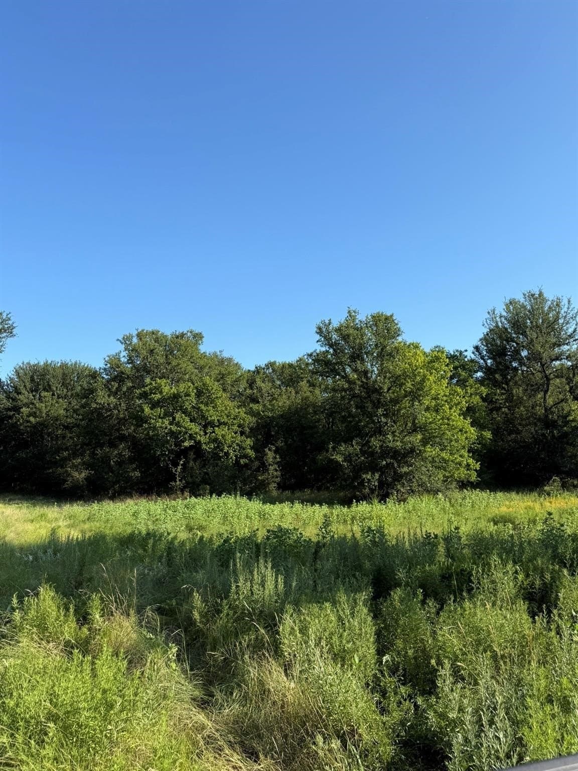 23.56 acres in Montague County - photo 8