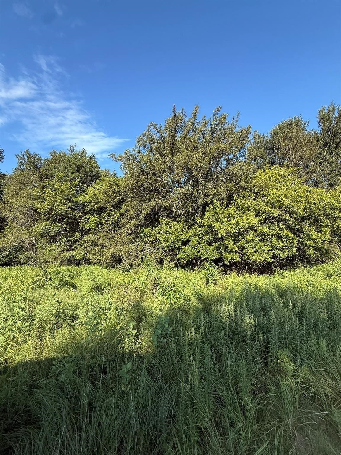 23.56 acres in Montague County - photo 19